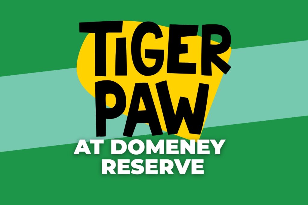 tiger paw